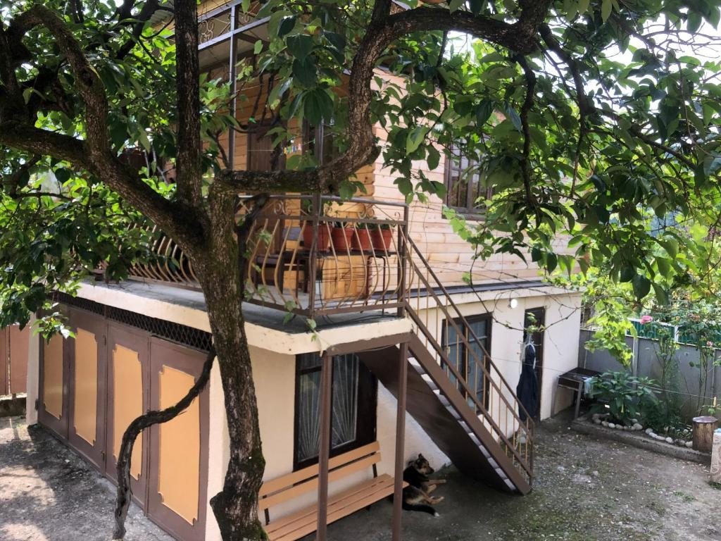 Сьюит (Полулюкс с балконом) семейного отеля Хозиявами, Сухум