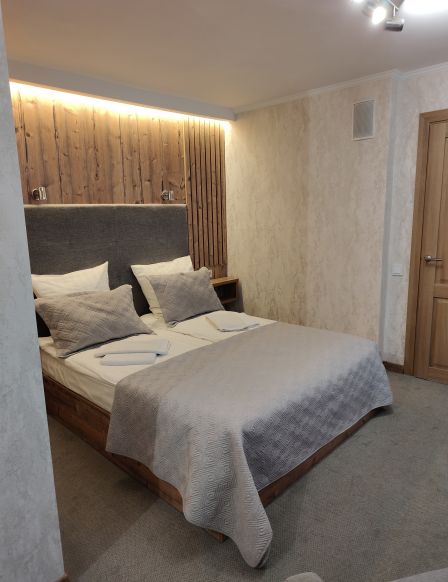 Фотография номера гостиницы Ольгинская