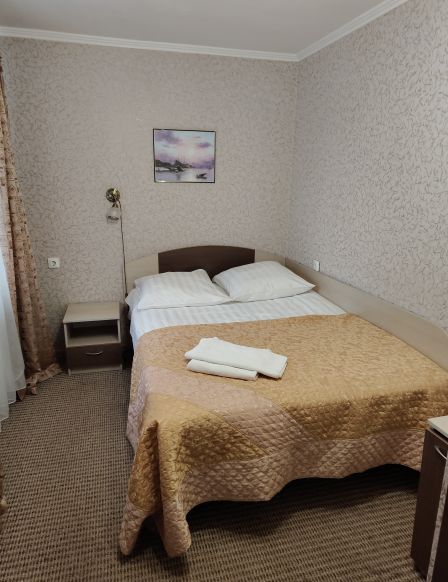 Фотография номера гостиницы Ольгинская