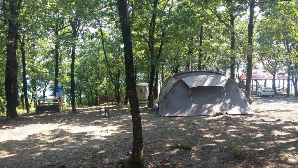 Место для палатки (Место для палатки) кемпинга Горизонт, Лермонтово