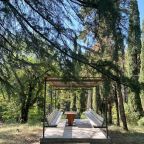 территория пансионата