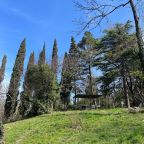 красивая зелёная территория