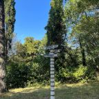 красивая зелёная территория