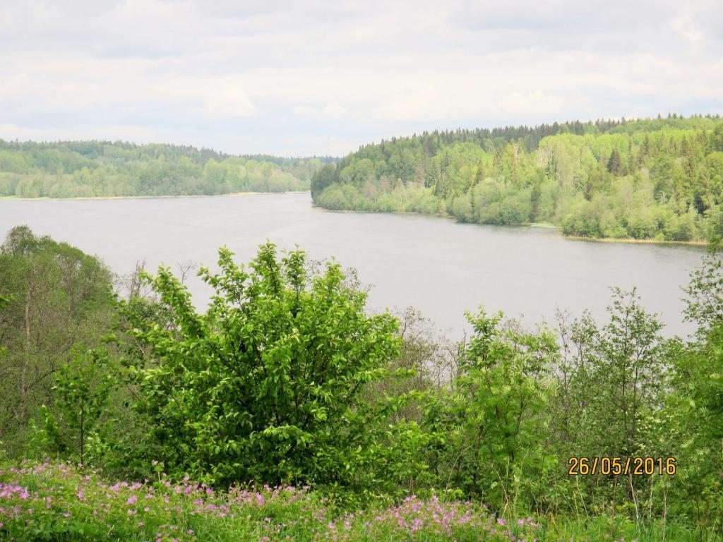 Семейный (Семейный номер с видом на озеро) базы отдыха Валдайская, Новгородская область