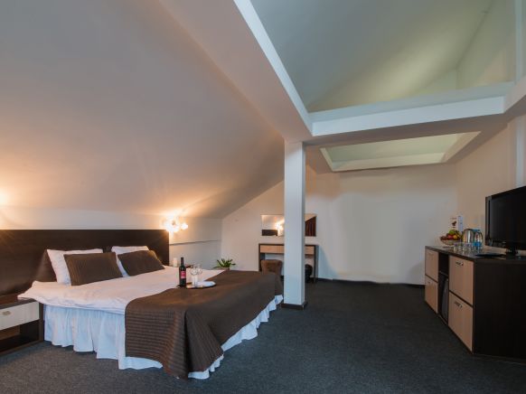 Фотография номера гостиницы Давинчи Парк