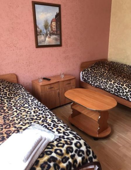 Фотография номера гостиницы Аэропорт Плаза