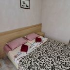 Двухместный (Комфорт ,балкон, вид на горы), Гостевой дом Югория