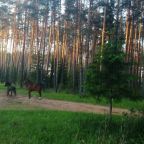 Номер (Дом с 3 спальнями), Гостевой дом На Селигере