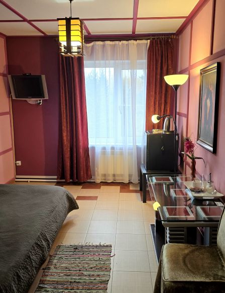 Фотография номера гостиницы Колесо