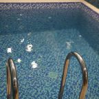 Бассейн в сауне отеля