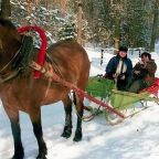 Номер (Дом с 2 спальнями), Отель На турбазе Чайка у Селигера