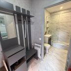 Апартаменты (Отдельный дом), Гостевой дом Шишкино-парк аэропорт Домодедово