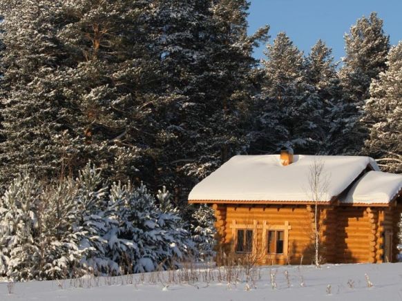 Коттедж Земляничная опушка