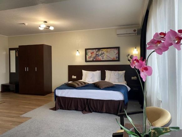 Фотография номера гостиницы Авангард