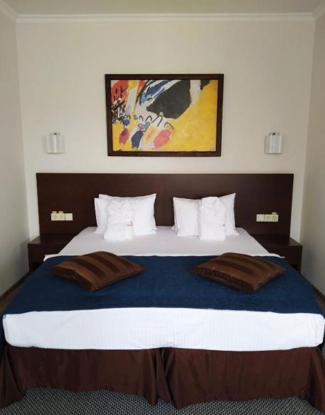 Фотография номера гостиницы Авангард