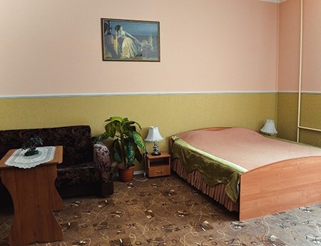 Двухместный (Первой категории, № 203) мини-отеля Гостиный двор, Барнаул