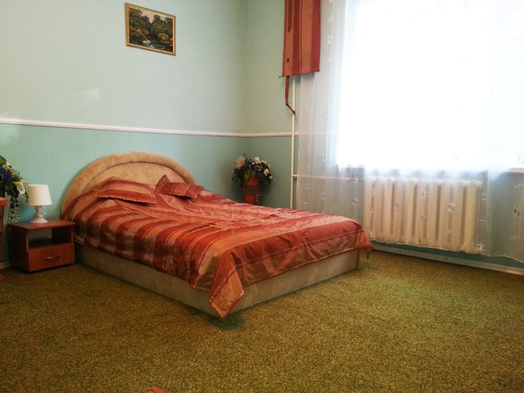 Двухместный (Второй категории, № 201) мини-отеля Гостиный двор, Барнаул