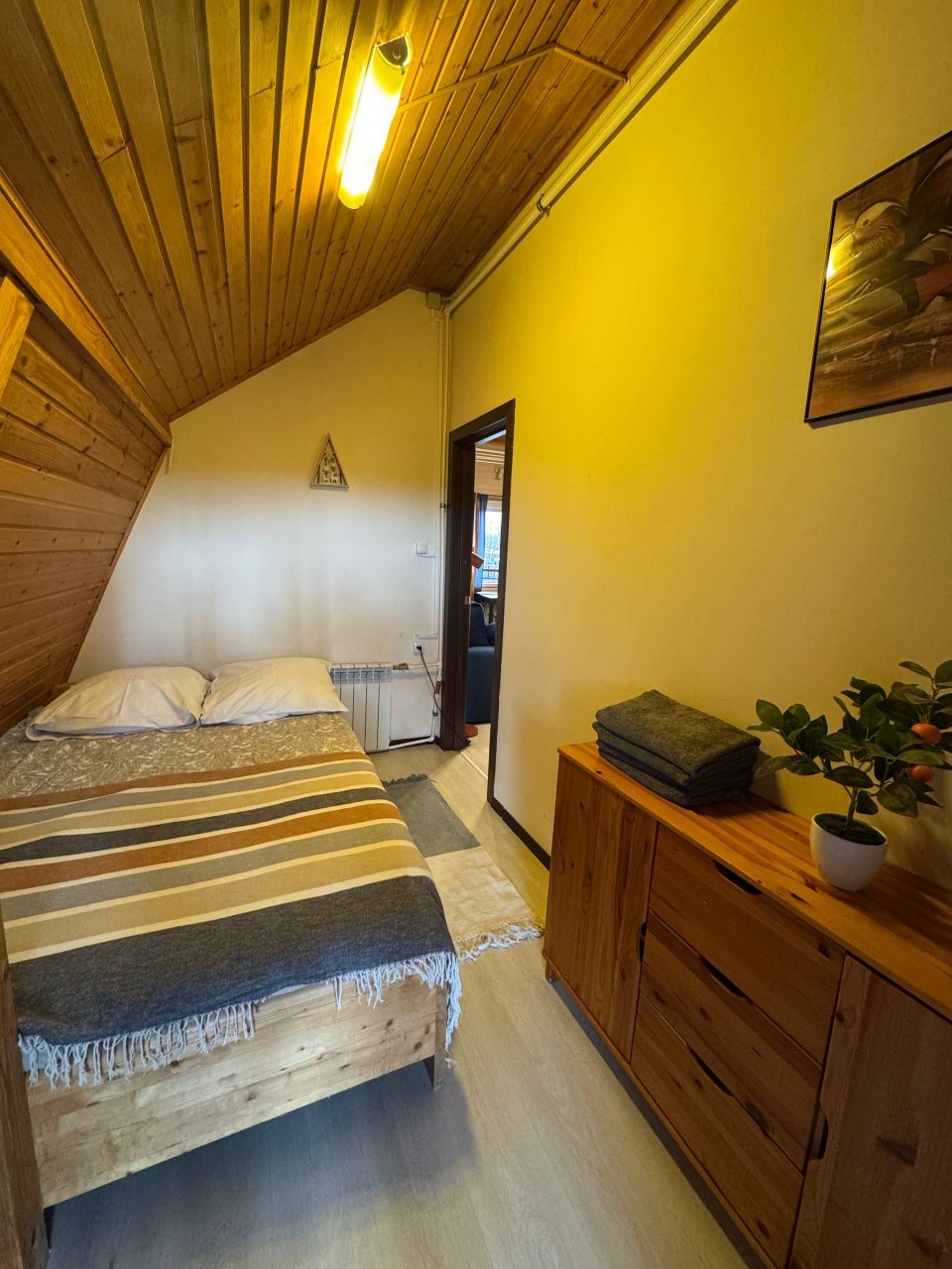 Апартаменты (С 1 спальней (2+2)), База отдыха Оленья Гора