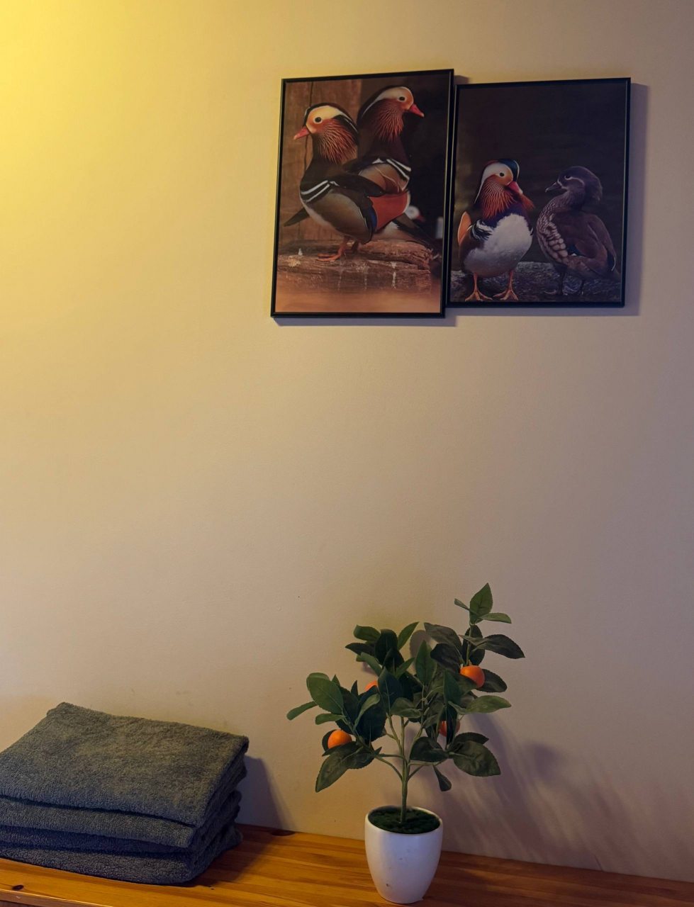 Апартаменты (С 1 спальней (2+2)), База отдыха Оленья Гора