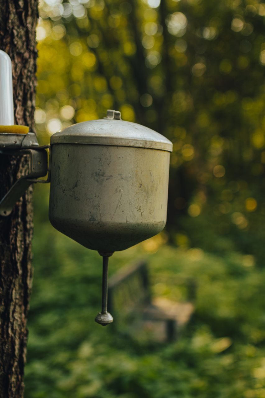 Двухместный (Шалаш А-фрейм), База отдыха Оленья Гора