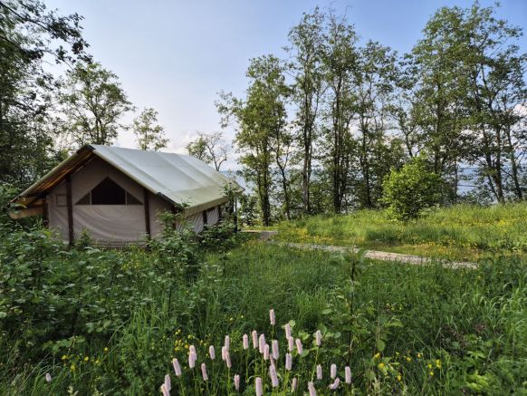 Фотография номера базы отдыха Старый Сиг