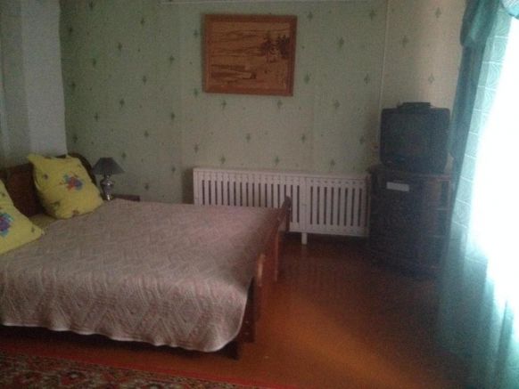 Загородный дом У Разлива