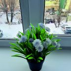 Апартаменты (Квартира 11), Хостел 65