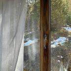 Вид из окна спальни на лес, где часто показываются бурундуки
