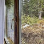 Вид из окна спальни в лес