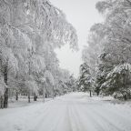 Объект находится в лесу, Коттеджный поселок Демино