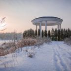 Объект находится в лесу, Коттеджный поселок Демино