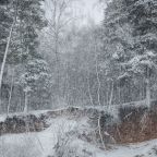 Объект находится в лесу, Коттеджный поселок Демино