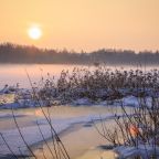 Вид на реку, Коттеджный поселок Демино