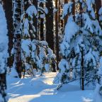 Природа Демино