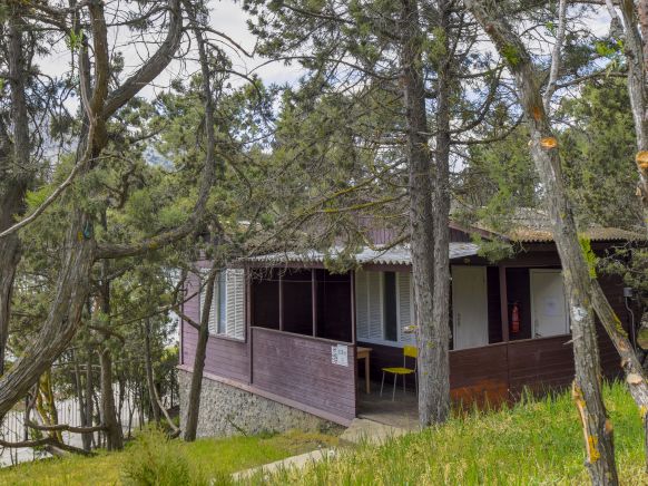 Фотография номера гостиницы Новый Свет