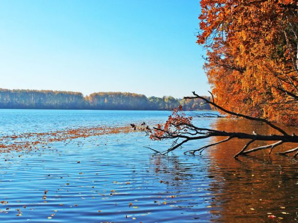 Отель Корабль, Ларёво