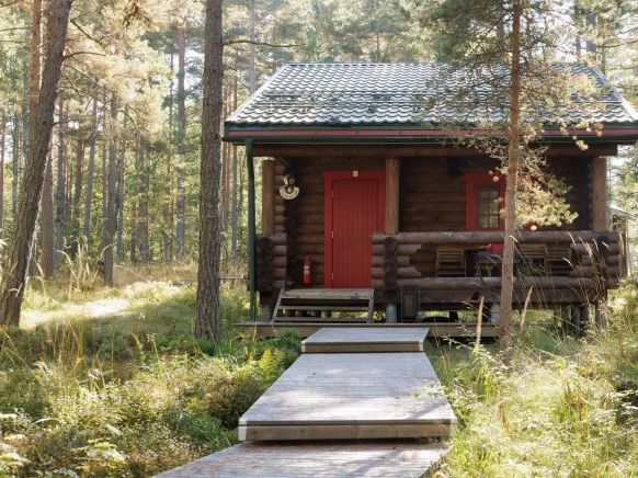 Фотография номера базы отдыха Ладога-озеро