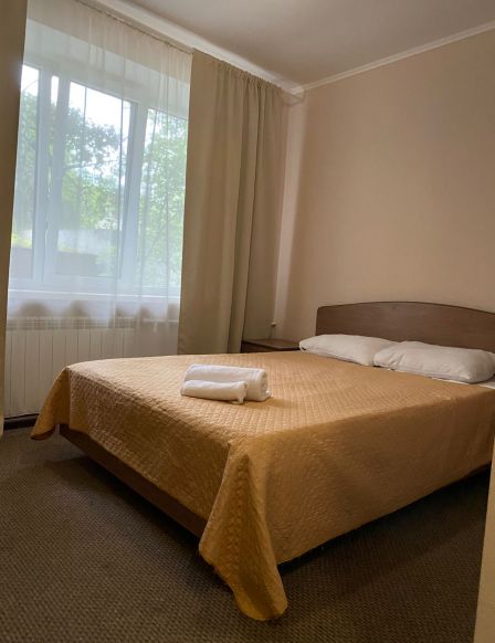 Фотография номера гостиницы Крокус