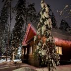 Семейный коттедж с горячей купелью зимой