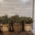 Банная программа 2 часа, База отдыха Истра Коттедж