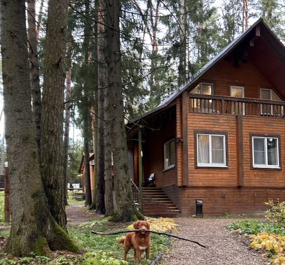 Фотография номера гостевого дома Istra Cottage