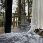 вид из спальни