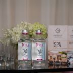 Двухместный (Люкс премиум), Отель Аристократ