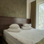 Двухместный (Делюкс Премиум), Отель Аристократ