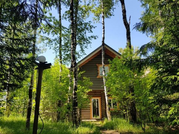 Фотография номера базы отдыха Подмосковный домик