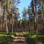 Пешие прогулки, База отдыха Родное