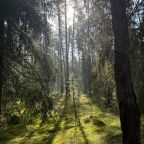 Пешие прогулки, База отдыха Родное