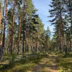 Пешие прогулки, База отдыха Родное