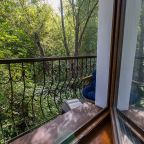 Полулюкс (Provence полулюкс с балконом № 70), Отель Лель