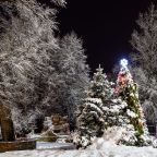 Объект находится в лесу, Отель Лель